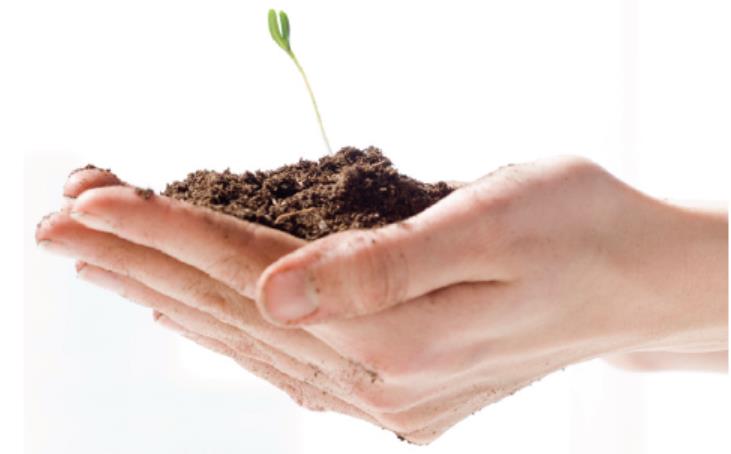 1508900127531308.jpg 11.jpg