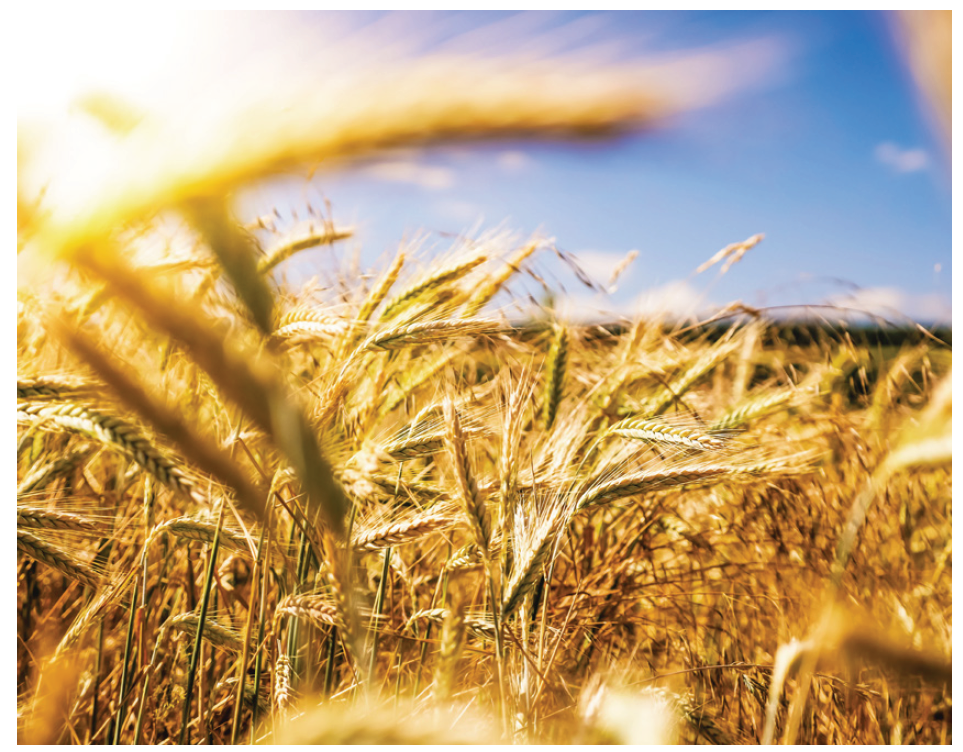 1508900285707123.png 微信截圖_20171025105511.png