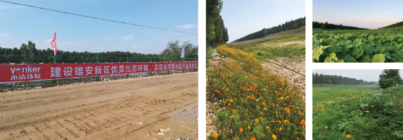 1574391127400599.jpg 1574391127400599.jpg