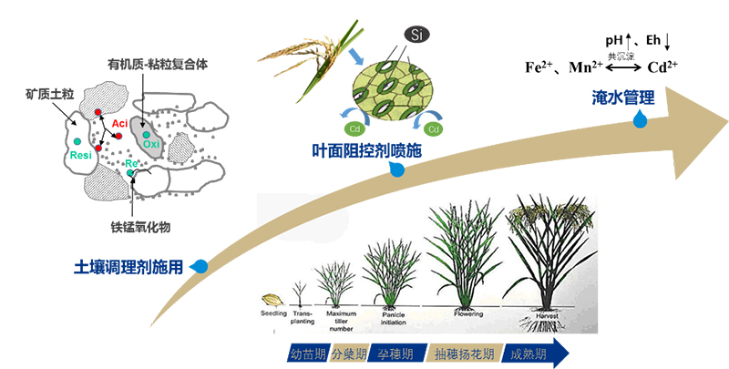 1574393124126946.jpg 圖片1.jpg