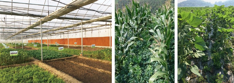 1574393283822132.jpg g2.jpg