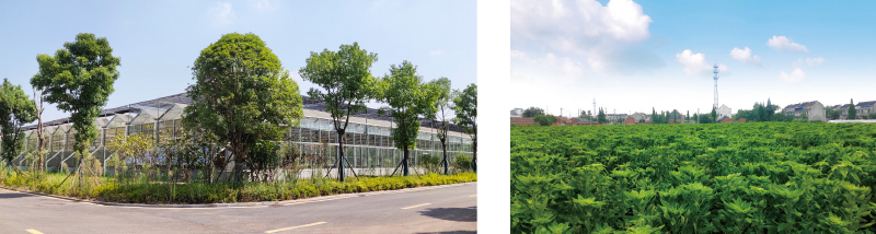 1574393960648202.jpg g5.jpg