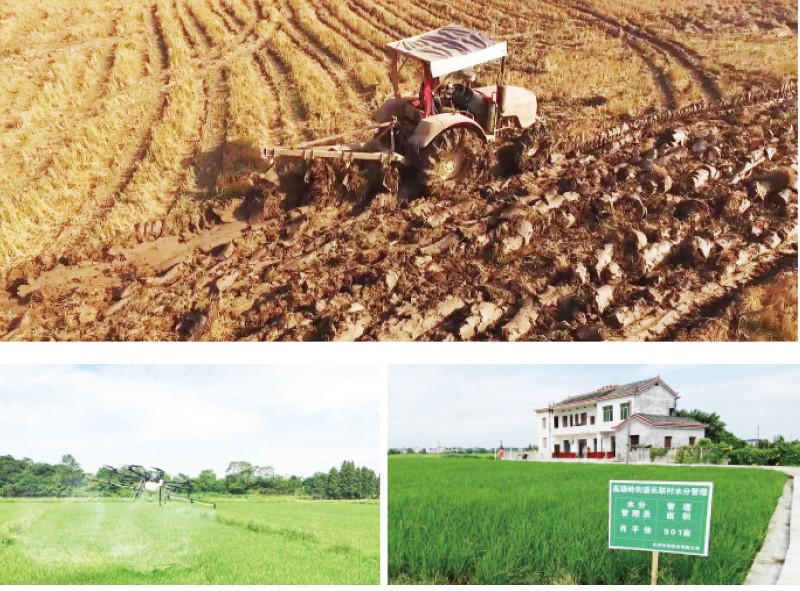 1574400343999563.jpg g6.jpg