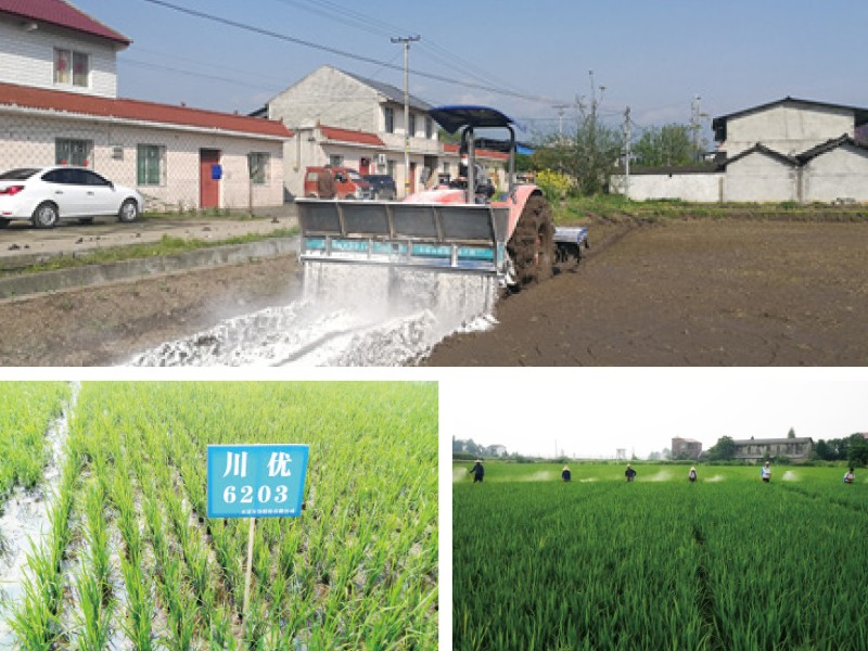 1574400369240089.jpg g7.jpg