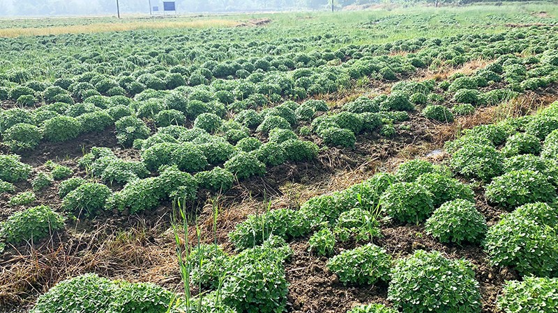 1574400461986684.jpg 微信圖片_20190911112318.jpg