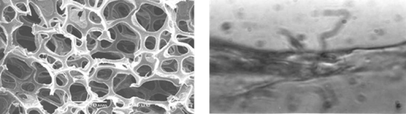 1574403971131034.jpg s2.jpg