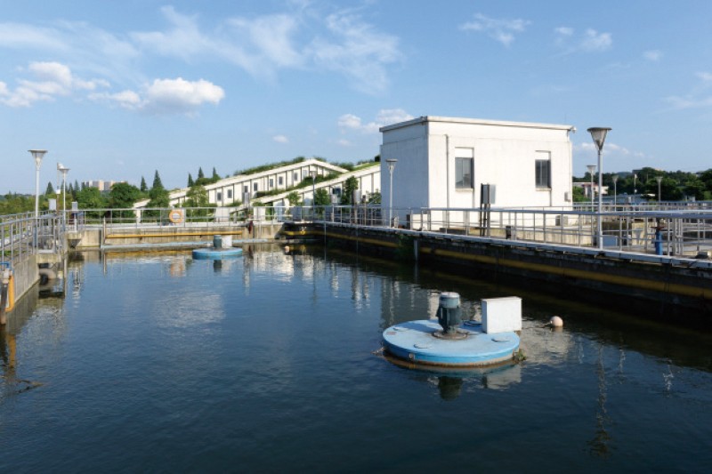 1574404489925239.jpg s4.jpg