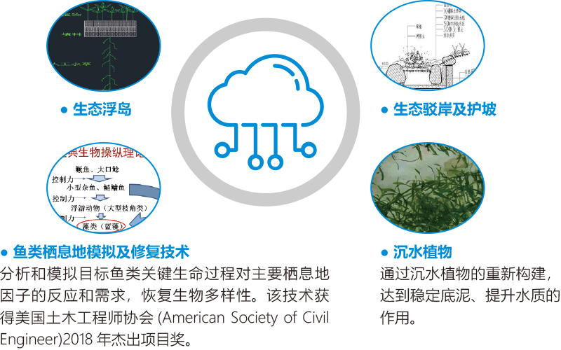 1574405111789061.jpg 1574405111789061.jpg