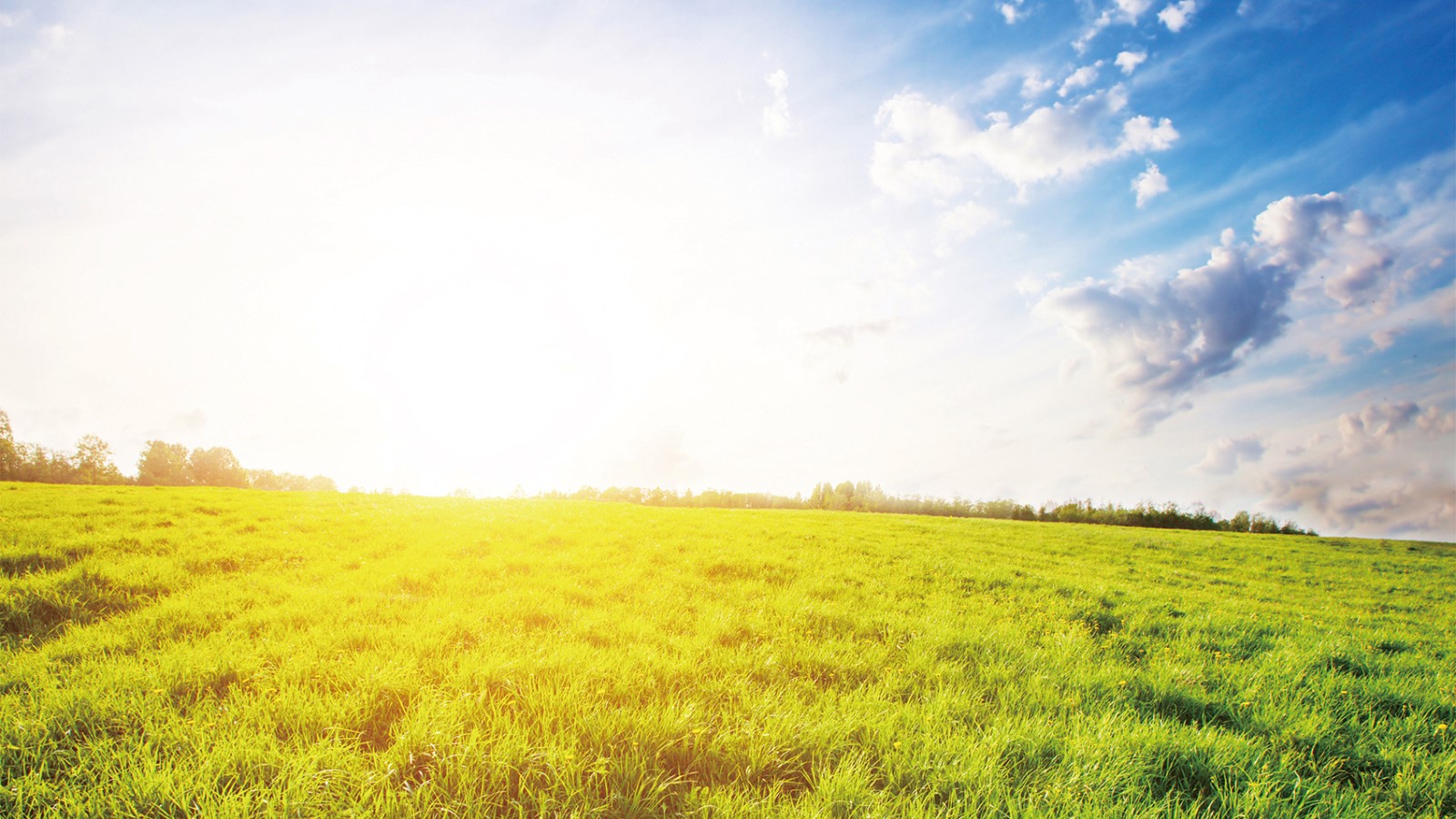 1586415430882986.jpg 1586415430882986.jpg