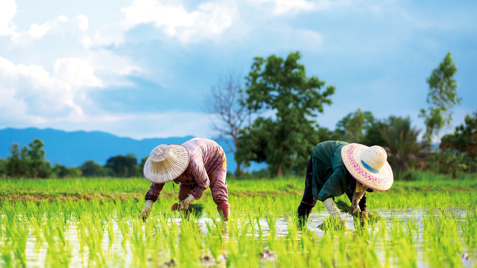 1586415632902116.jpg 1586415632902116.jpg